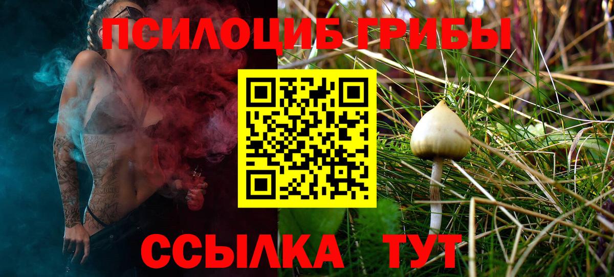 Псилоцибиновые грибы мицелий Стрежевой