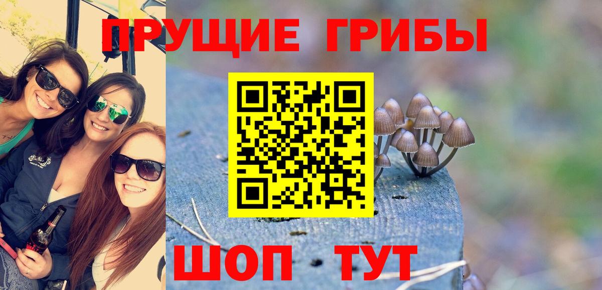 Галлюциногенные грибы Cubensis  Вход с VPN  Галлюциногенные грибы Psilocybine cubensis  Стрежевой 